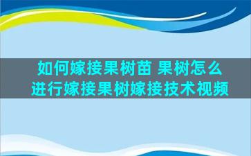 如何嫁接果树苗 果树怎么进行嫁接果树嫁接技术视频